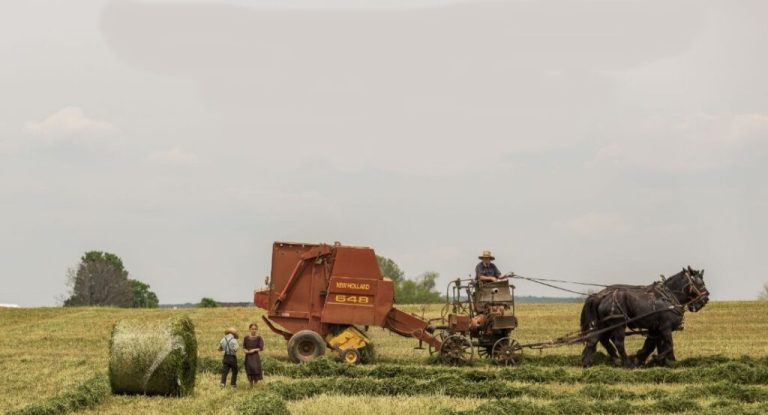 La transition sociétale préalable indispensable à la transition écologique